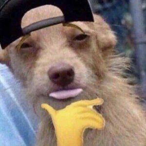 Meet your Posher, Thiago